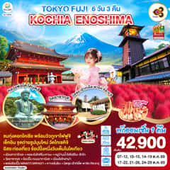TOKYO FUJI KOCHIA ENOSHIMA 6D 3N โดยสายการบินไทย [TG]