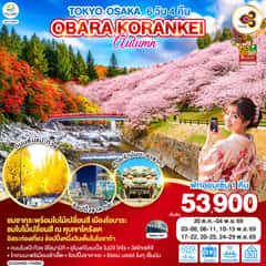 TOKYO OSAKA OBARA KORANKEI AUTUMN 6D 4N โดยสายการบินไทย [TG]