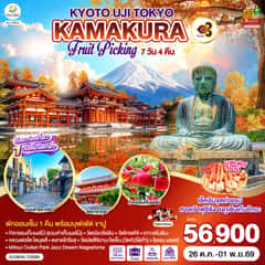 KYOTO UJI TOKYO KAMAKURA FRUIT PICKING 7D 4N โดยสายการบินไทย [TG]