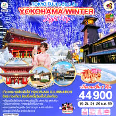 TOKYO FUJI YOKOHAMA WINTER LIGHT UP 6D 3N โดยสายการบินไทย [TG]