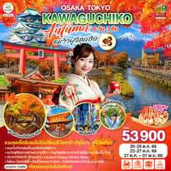 OSAKA TOKYO KAWAGUCHIKO AUTUMN ชมวิวฟูจิสุดฮิต 6D 3N โดยสายการบินไทย [TG]