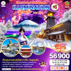 TOKYO FUJI YOKOHAMA ILLUMINATION WINTER 6D 4N โดยสายการบินไทย [TG]