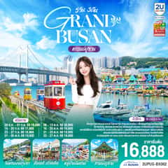 แกรนด์ปูซาน 5 วัน 3คืน โดยสายการบินแอร์ปูซาน (BX)