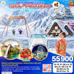 TOKYO NAGANO HAKUBA SHIRAKAWAGO WINTER 6D 4N โดยสายการบินไทย [TG]