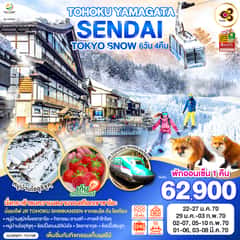 TOHOKU YAMAGATA SENDAI TOKYO SNOW 6D 4N โดยสายการบินไทย [TG]