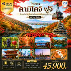 โตเกียว คามิโคจิ ฟูจิ นั่งกระเช้าคาจิคาจิ AUTUMN FULL BLOOM 6 วัน 3คืน โดยการบินไทย(TG)