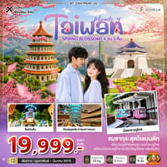 มหัศจรรย์… TAIWAN SPRING BLOSSOM