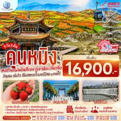 บินตรงเชียงใหม่ คุนหมิง ตงชวน ภูเขาหิมะเจียวจื่อซาน 4 วัน 3 คืน กินลม..ชมวิว..ชิมสตอว์เบอร์รี่สดๆๆจากไร่ โดยสายการบิน Ruili Airlines (DR)