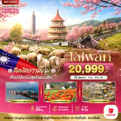 มหัศจรรย์ TAIWAN ฟาร์มแกะชิงจิ้ง สัมผัสความงามของดอกซากุระ