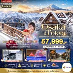มหัศจรรย์…OSAKA SHIRAKAWAGO HAKUBA FUJI STRAWBERRY