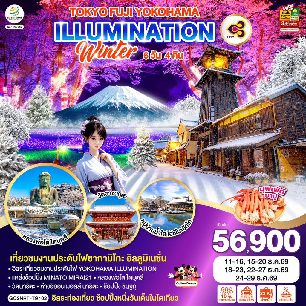 ทัวร์ญี่ปุ่น TOKYO FUJI YOKOHAMA ILLUMINATION WINTER 6D 4N โดยสายการบินไทย [TG] โดย Moly Trip