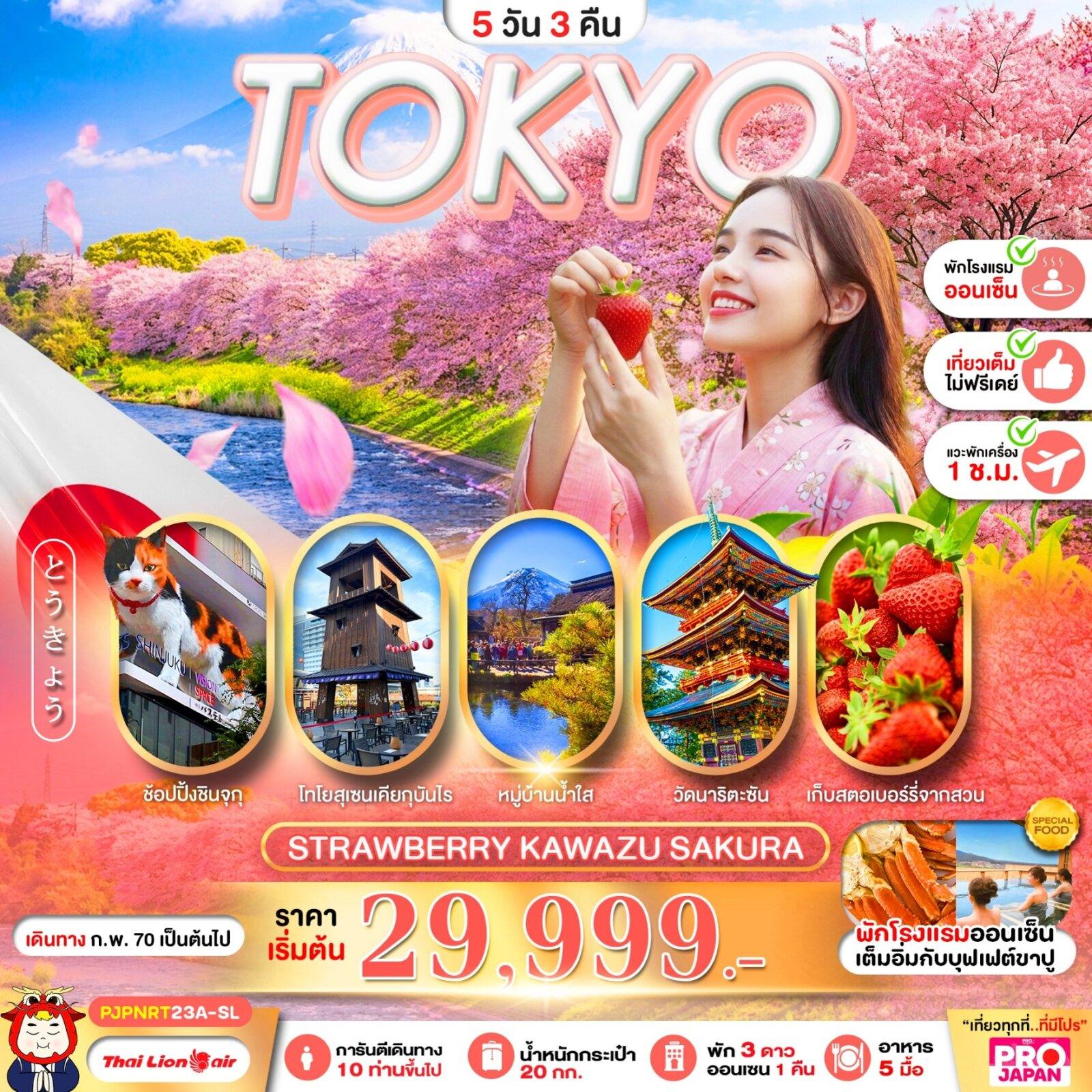 ทัวร์ญี่ปุ่น PRO TOKYO STRAWBERRY KAWAZU SAKURA 5D3N โดย Moly Trip