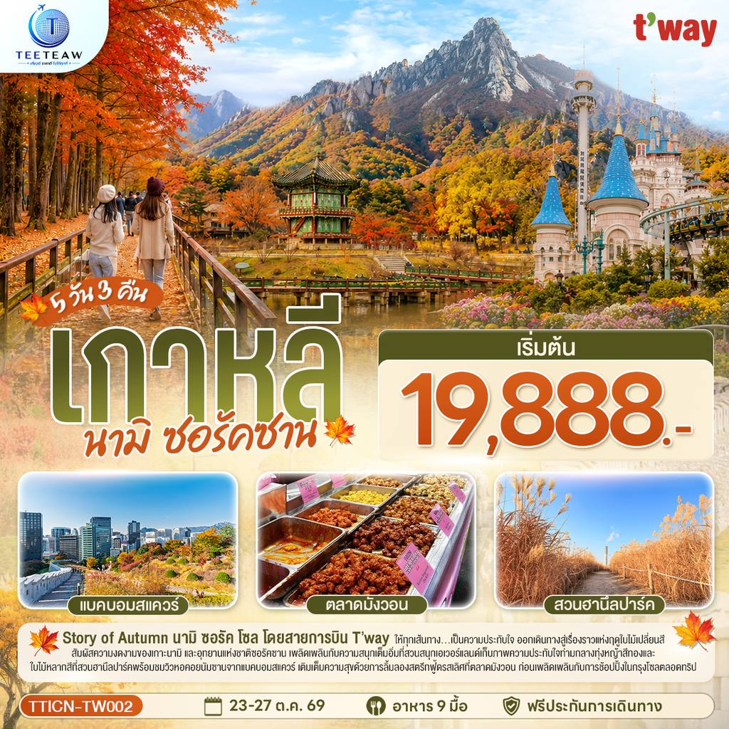 ทัวร์เกาหลีใต้ เกาหลี นามิ ซอรัคซาน 5วัน 3คืน โดยสายการบินทีเวย์ (TW) โดย Moly Trip