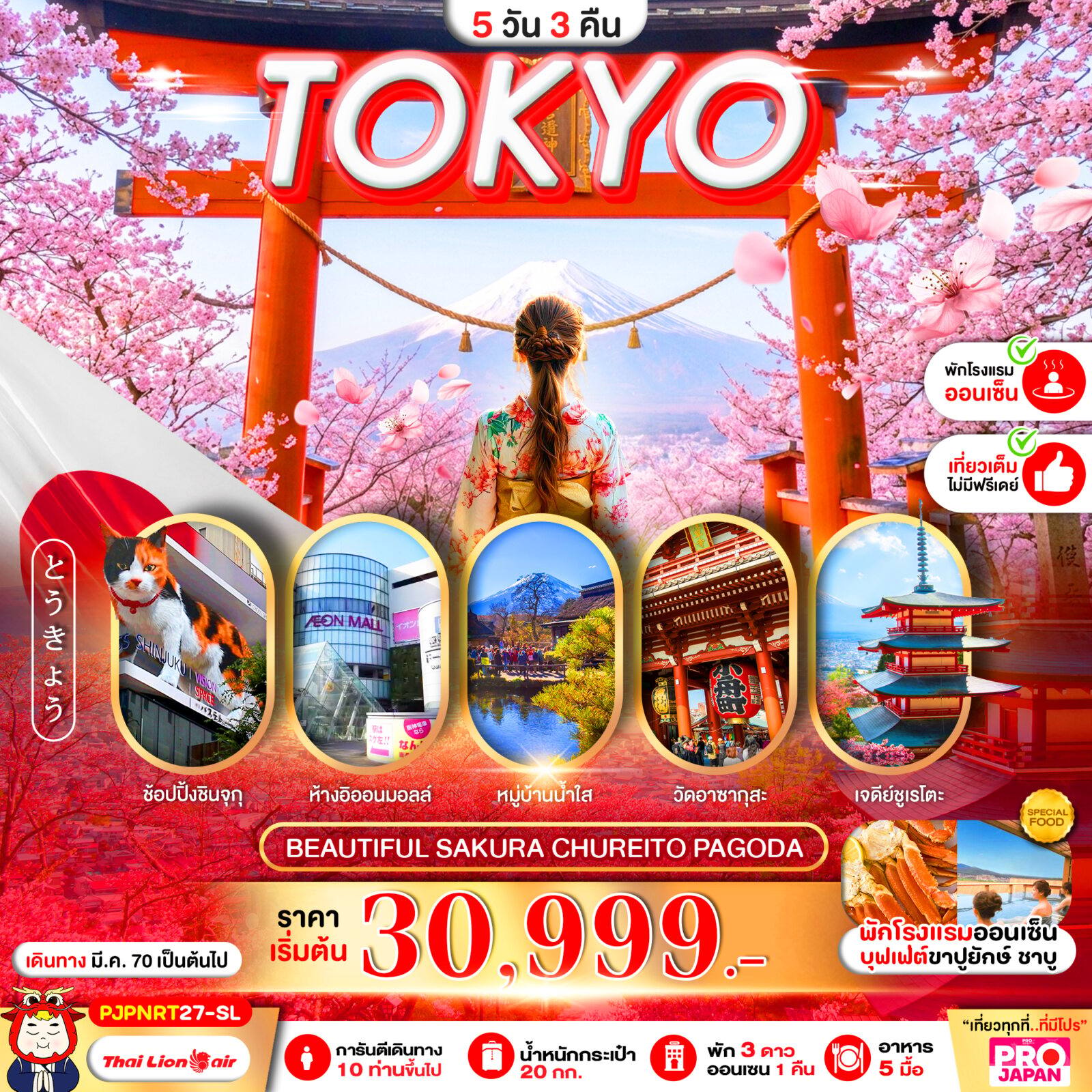 ทัวร์ญี่ปุ่น PRO TOKYO BEAUTIFUL SAKURA CHUREITO PAGODA FULL DAY 5D3N โดย Moly Trip