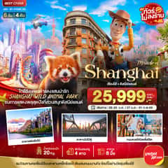 มหัศจรรย์…เซี่ยงไฮ้ ดิสนีย์แลนด์ ชมแพนด้าแดง (ไม่ลงร้าน)