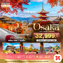 มหัศจรรย์…OSAKA นารา เกียวโต FREEDAY