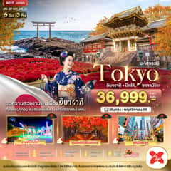 มหัศจรรย์…TOKYO อิบารากิ นิกโก้ ซากามิโกะ