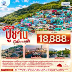 ปูซาน ปุ๊กปิ๊กละมุนใจ 5 วัน 3 คืน โดยสายการบิน แอร์ปูซาน (BX)