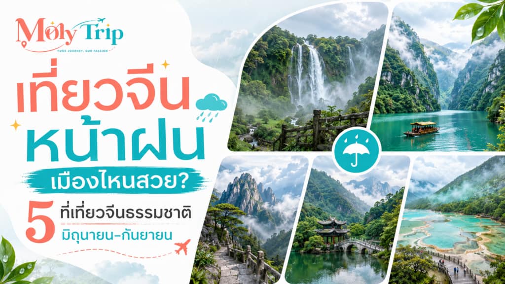 ทัศนียภาพอุทยานธรรมชาติจางเจียเจี้ย ประเทศจีน มีทะเลหมอกลอยต่ำปกคลุมยอดเขาช่วงฤดูฝน