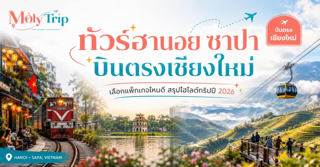 วิวทิวทัศน์เมืองหมอกซาปาและสายหมอกลอยผ่านภูเขาในเวียดนามเหนือ
