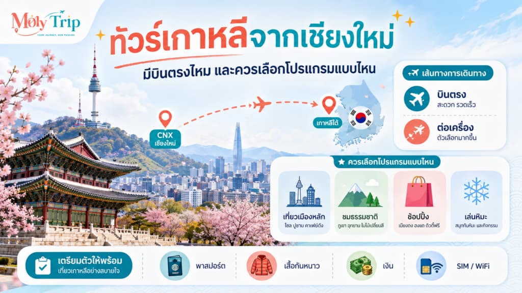 ทัวร์เกาหลีจากเชียงใหม่ บินตรงไปโซลและปูซาน พร้อมเลือกโปรแกรมทัวร์ที่เหมาะสม