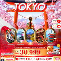 PRO TOKYO BEAUTIFUL SAKURA CHUREITO PAGODA FULL DAY 5D3N