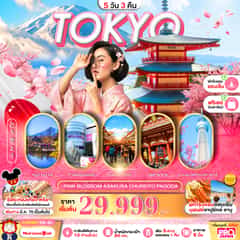 PRO TOKYO PINK BLOSSOM ASAKUSA CHUREITO PAGODA FREE DAY 5D3N